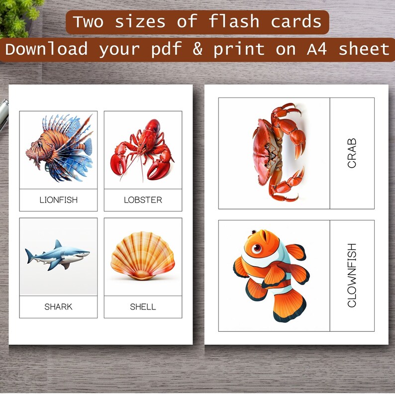 Ocean Animals Flash Cards,set of 20,toddlers & Preschool Cards