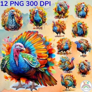 funny Thanksgiving Turkey Watercolor PNG Sublimation Design Bundle,Thanksgiving Turkey Clipart,Digital Download PNG
