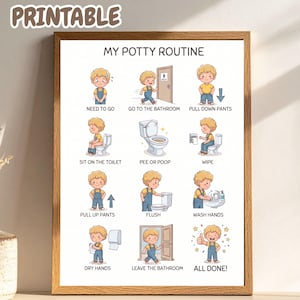 May include: A framed educational poster titled MY POTTY ROUTINE featuring twelve cartoon illustrations of a child demonstrating steps for bathroom use, including text labels like NEED TO GO, PULL DOWN PANTS, SIT ON THE TOILET, and ALL DONE.