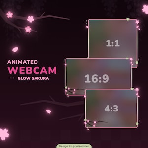 Puede incluir: Superposición de cámara web animada con un brillo rosa y acentos de flores de cerezo. La superposición incluye tres relaciones de aspecto diferentes: 1:1, 16:9 y 4:3.