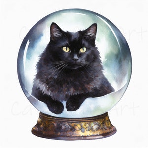 Fluffy Black Cat In A Snow Globe Wall Art Unframed Cat Lover Gift Poster Decor