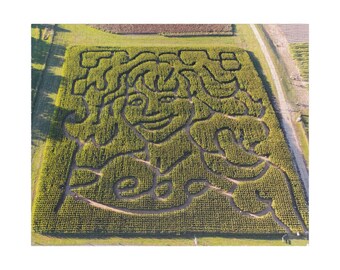 Reba Corn Maze Puzzle  (252, 520, 1014-piece)
