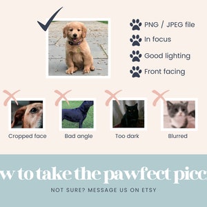 May include: A guide on how to take good photos of pets for Etsy listings. The guide shows a well-lit, in-focus photo of a golden retriever puppy sitting and looking at the camera. The guide also shows examples of photos that are not good for Etsy listings, such as a photo of a dog with a cropped face, a photo of a dog taken from a bad angle, a photo of a cat that is too dark, and a photo of a cat that is blurred.