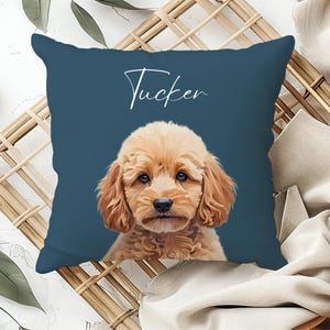May include: A square cushion with a teal background featuring a golden-coloured dog portrait. The dog's name, "Tucker," is written in white script across the top. The cushion is likely made of soft fabric.