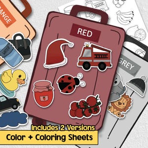Color Matching Printable, Toddler Learning Game, Montessori Preschool Activity, Activity for Kids, Homeschool Preschool Curriculum