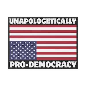 Pro-Democracy Yard Schild - Unapploetisch patriotisches Dekor, Politisches Grasschild, Wahlsaison, Advocace Display, Zuhause, amerikanische Flagge