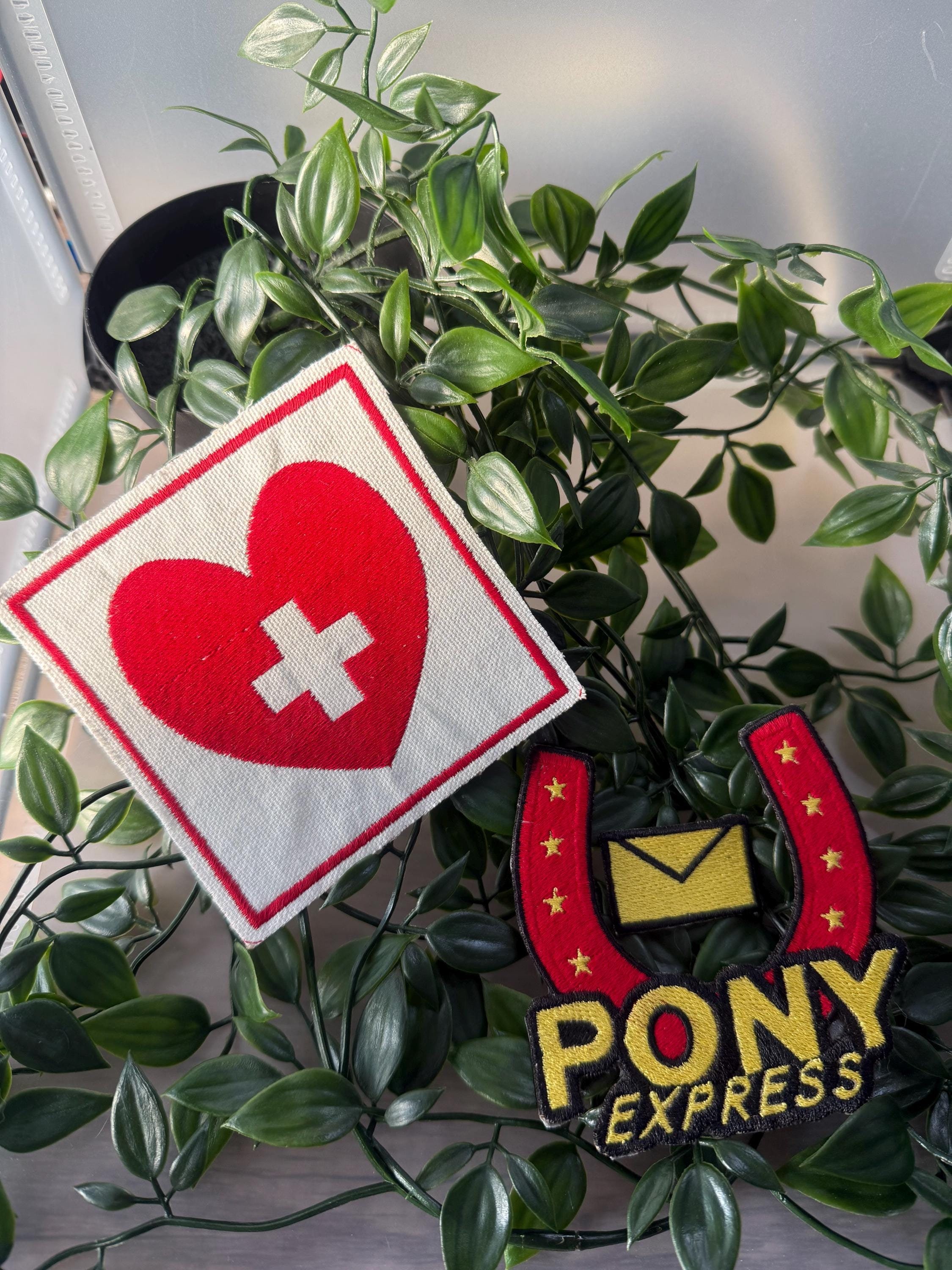 ブランシュ様♥️ダックス 虫歯予防デー オブジェ 1b5130daa04cdc77cbc7a5f00b5cf6