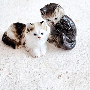 日本未入荷4サイズ♪ウォールアート Cat Vintage Black White Cat Kitten With Blue Eyes Bicolour