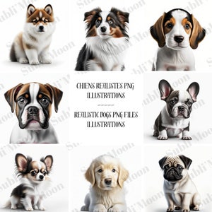 Set of 12 High Quality PNG Files - Realistic Dogs