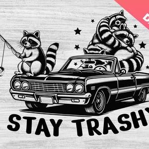 Waschbär PNG Thrifting Design für Shirt, Opossum Stinktier, lustiger Waschbär, sarkastischer PNG Retro Vintage, lustiger Spruch Cricut, Silhouette
