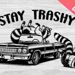 Waschbär PNG Thrifting Design für Shirt, Opossum Stinktier, lustiger Waschbär, sarkastischer PNG Retro Vintage, lustiger Spruch Cricut, Silhouette