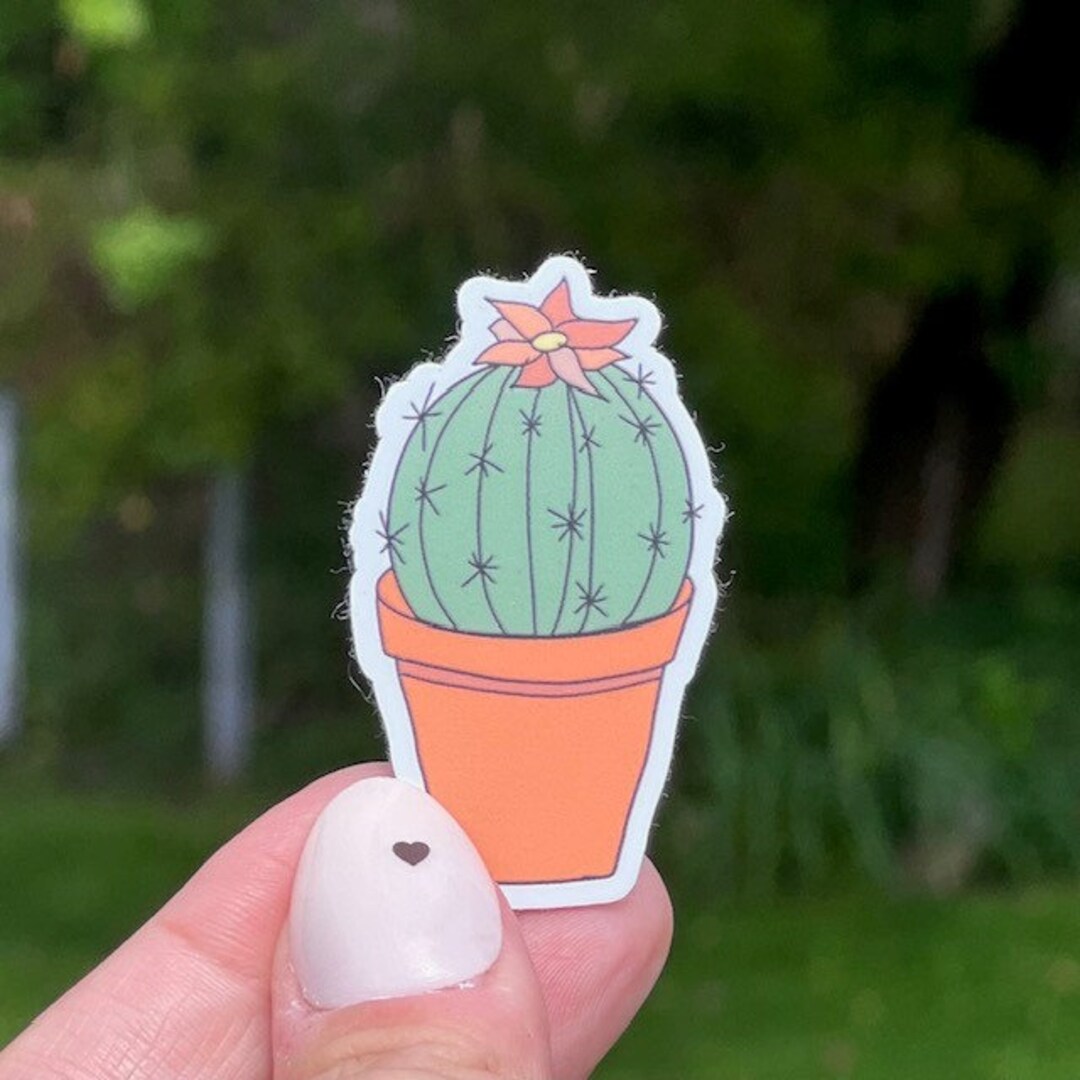 Barrel Cactus Vinyl Sticker Sticker for Laptop Water Etsy