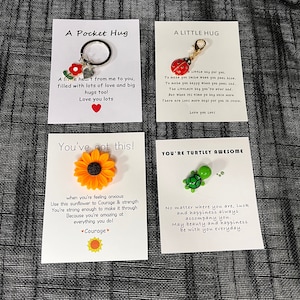 Abrazos de bolsillo – Abrazos pequeños (mariquita, tortuga, girasol y flor)