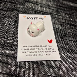 Pocket Hug met ijsbeer | Teddybeer | Zoete metgezel voor troost en vreugde