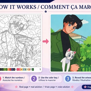 May include: A digital paint-by-number guide titled HOW IT WORKS / COMMENT &Ccedil;A MARCHE showing a numbered line art template on the left and a completed anime-style illustration of a person in a green jacket holding a white cat on the right.