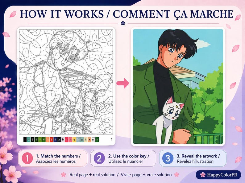 May include: A digital paint-by-number guide titled HOW IT WORKS / COMMENT &Ccedil;A MARCHE showing a numbered line art template on the left and a completed anime-style illustration of a person in a green jacket holding a white cat on the right.