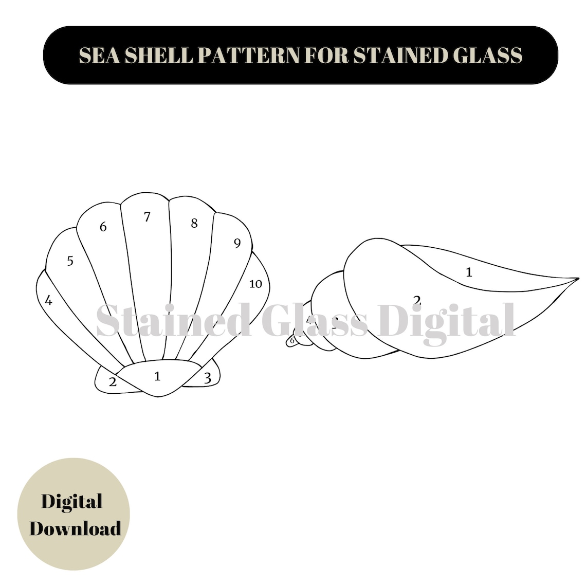 Sea Shell Pattern for Stained Glass, Stained Glass Pattern, Sea Shell ...