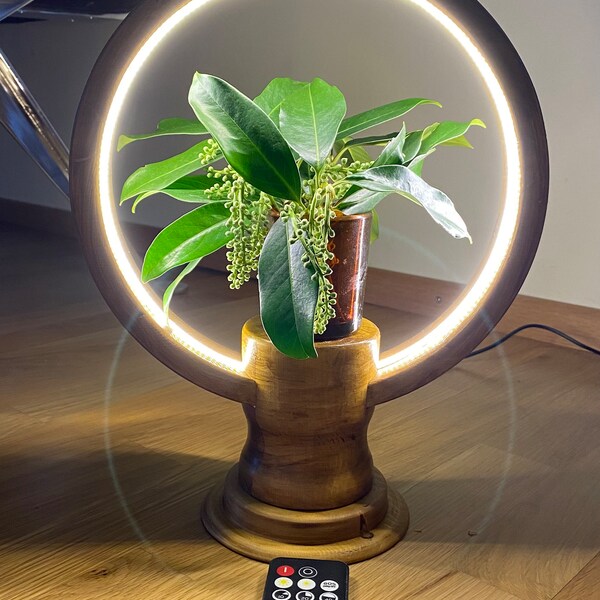 Lampe de table décorative avec bande LED d'environ 30 cm de haut