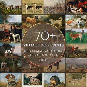 Op de afbeelding: Een verzameling vintage hondenprints, met verschillende rassen in klassieke kunststijlen. De afbeelding bevat de tekst "70+ Vintage Dog Prints, The Ultimate Collection, High Resolution, 300 DPI."