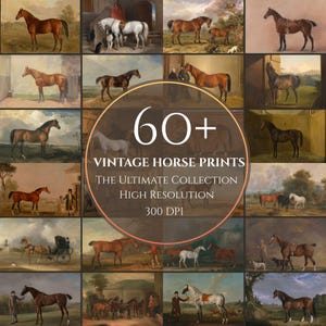 Puede incluir: Una colección de grabados de caballos antiguos, con diversas razas y escenas. Las imágenes muestran caballos en campos, establos y con personas. El texto central dice "60+ Vintage Horse Prints, The Ultimate Collection, High Resolution, 300 DPI."