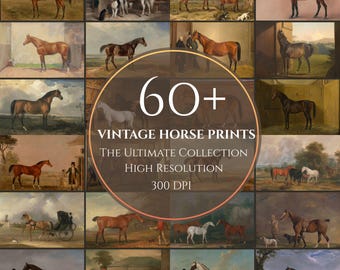 May include: A selection of vintage horse prints, depicting different breeds and settings. The images show horses in fields, stables, and with people. The central text reads "60+ Vintage Horse Prints, The Ultimate Collection, High Resolution, 300 DPI."