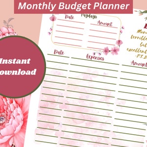 Monthly Budget planner (pink)