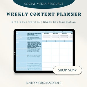SocialMedia Planner, Weekly Social Media Planner, SocialMedia, Social Media Calendar, Google Sheets, Google Sheets Template, PlannerTemplate