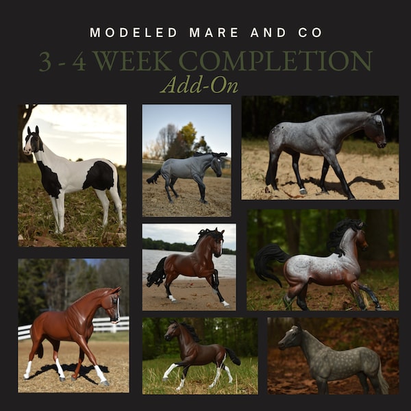 Custom Model Horse Add - On : 3 to 4 Week Completion Time Expedited Production for Personalized Model Horse