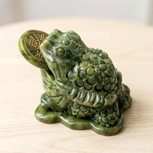 Può includere: Statuetta di rana in giada verde che tiene in bocca una moneta. La rana ha un corpo strutturato e si trova su una base. La moneta presenta caratteri cinesi. Su una superficie di legno chiaro.