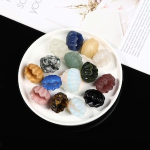 Natural Mixed Crystals Shell Carving,Crystal Shell Gift, Quartz Shell Figurine,Halloween Crystals,Reiki Healing ,Mini Shell Home Decoration