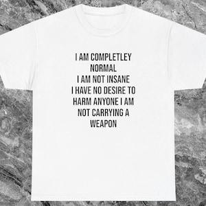 Insane Shirt Funny Meme Shirt Inappropriate Shirt Unhinged Shirt Ironic Shirt Sarcastic Shirt that go hard Weird Shirt Cursed Shirt Gift