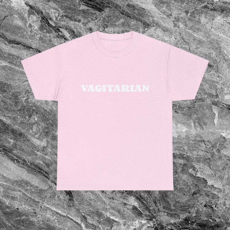 Lesbian Shirt Gay Shirt Queer Shirt Lgbtq Pride Shirt Funny Meme Shirt Ironic Shirt sarcastic shirt Cursed Shirt Y2K Shirt Trendy Gen Z Gift Light Pink