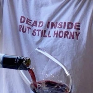 Inappropriate Shirt Unhinged Shirt Funny Meme Shirt Ironic Shirt Sarcastic Shirts that go hard Weird Shirt Cursed Shirt Gen Z Shirt Gag Gift