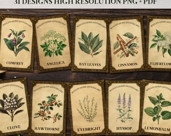 Witch Herb Spice Apothecary Label | Wizard Vintage Potion Labels Junk Journal Ephemera | Herbarium Cards Spice Jar Labels Witchcraft Supply