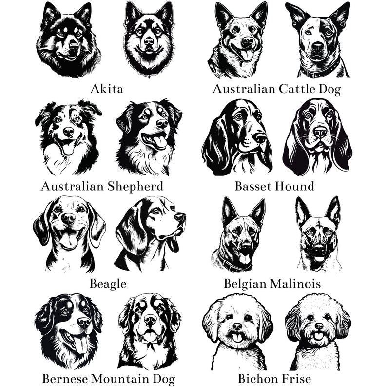 114 Dogs Head Silhouette PNG Mega Pack Dog Breed Silhouette Bundle Dog Face Files for Cricut