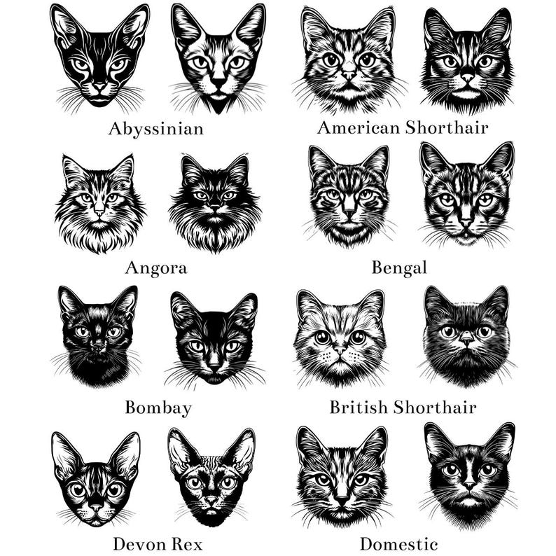 Cute Cats Breed Face Portrait SVG PNG Clipar…