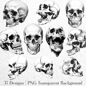 May include: A set of nine black and white illustrations of human skulls in various poses. The skulls are drawn in a realistic style and have a vintage aesthetic.
