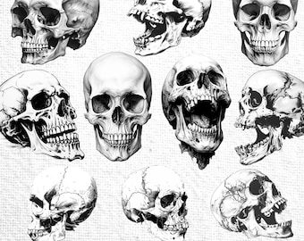 Skull Clipart Set | Black and White Tattoo Designs | Anatomy Ephemera | Transparent Background Commercial Use | Digital Prints | Horror
