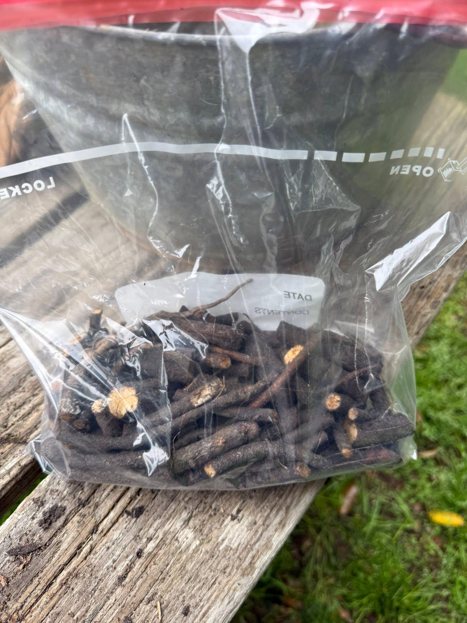 Beyond Organic Russian Comfrey Bocking Root Cuttings - Etsy