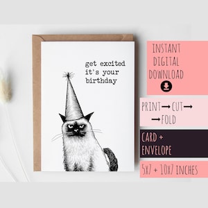 Carte 29e anniversaire chat à télécharger, PDF téléchargeable numérique instantané drôle drôle