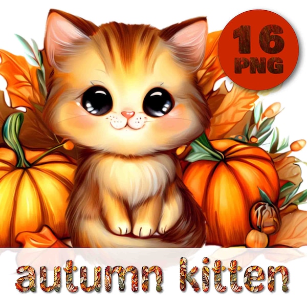 Cute autumn kitten. Autumn still life with a small cat. 16 PNG large images 3000x3000px