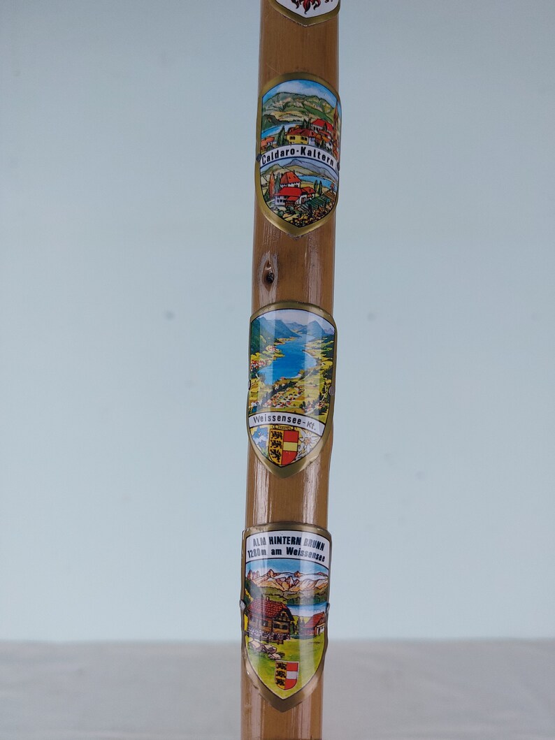 7 Emblem Cane, Vintage Walking Sticks, Retro Cane, Vintage Cane ...