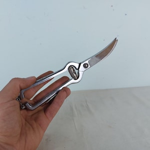 Vintage kitchen scissors, scissors for cutting chicken, Italy, made in Itlay 1