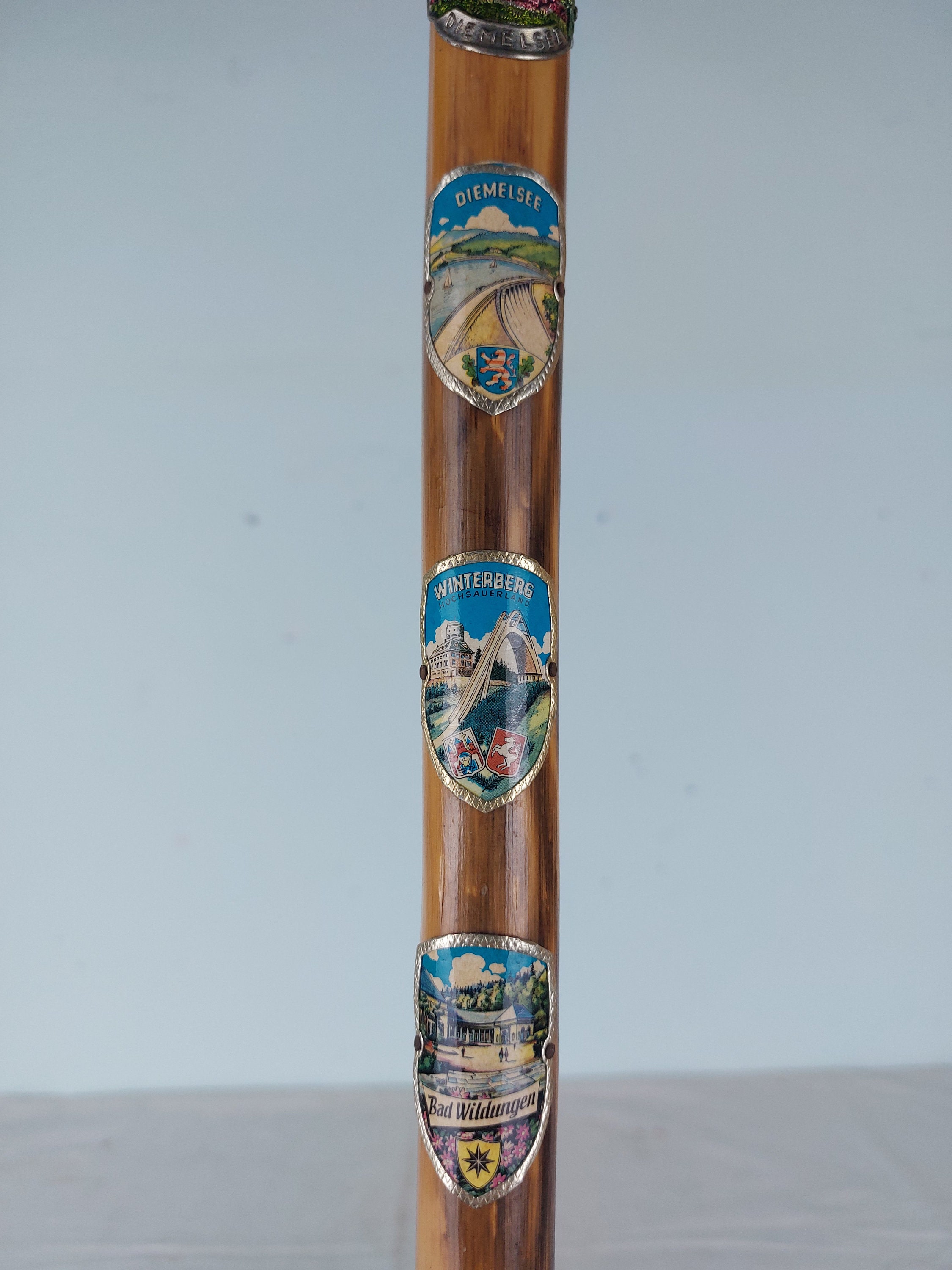 6 Emblem Cane, Germany Stick, Vintage Walking Sticks, Retro Cane ...