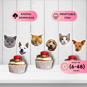 Cat Face Toppers,Dog Cupcake Toppers,Pet Animal Cupcake Toppers,Face Topper Picks,Cat Birthday Decor,Pet Head Decorations,First Birthday