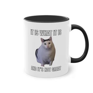 Peut inclure: Une tasse à café en céramique blanche avec un bord et une poignée noirs. La tasse représente un chat noir et blanc avec le texte "It is what it is and it's not great."