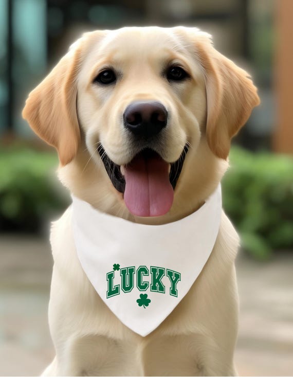 Irish Green LUCKY St Patrick's Day or any day! Little clovers to enhance your LUCK! View 2