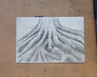 Raíces de árboles - A6 (105 x 148,5 mm) - Dibujo original de grafito, dibujo de observación, Arte, Naturaleza, Árbol