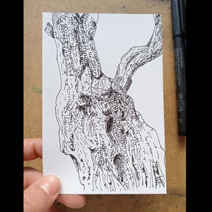 Tronc d'olivier - A6 (105 x 148,5 mm) - dessin original à la plume, dessin d'observation, art, nature, arbre