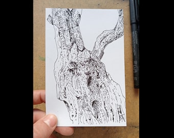 Olive Tree Trunk - A6 (105 x 148,5 mm) - Originele inktpentekening, observatietekening, kunst, natuur, boom